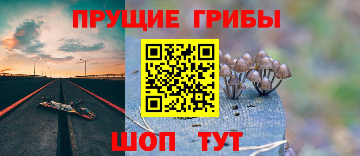 Ухта  сколько стоит  Вход с VPN  Галлюциногенные грибы Psilocybe 